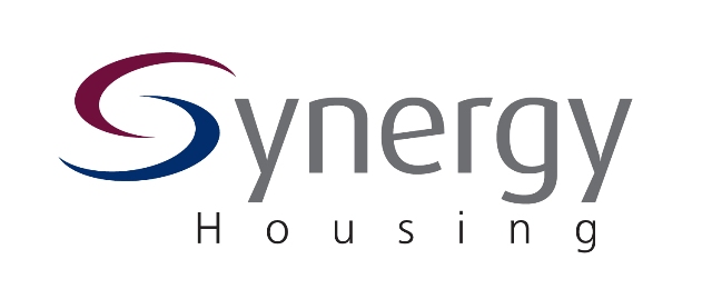 Synergy Logo