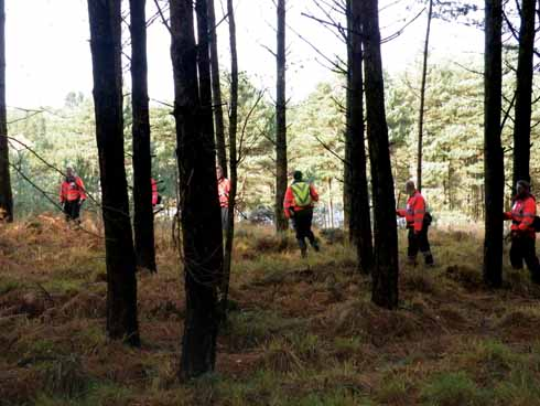 Wood Search Wood Search