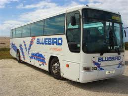 Bluebird Coaches